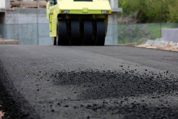 Best Local Driveway Pavers  in Upper Grand Lagoon, FL