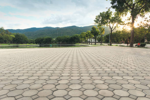 Best Professional Driveway Pavers  in Upper Grand Lagoon, FL